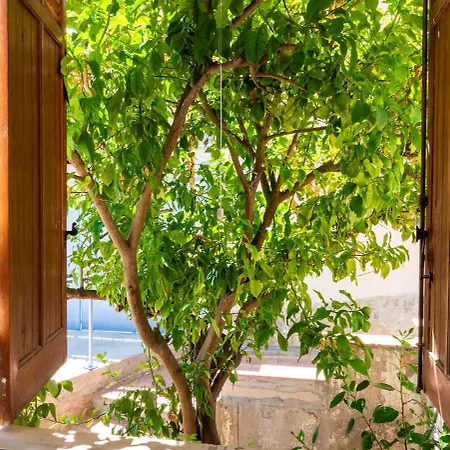 Maison De Charme Au Coeur Du Vieux